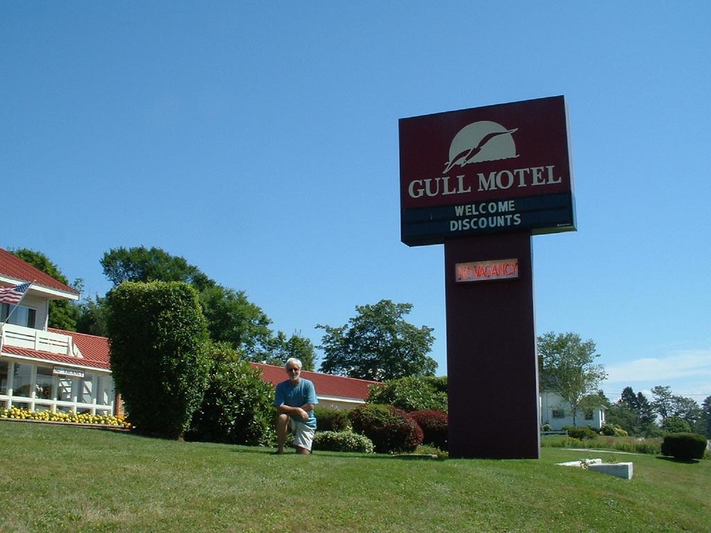 The Gull Motel, Belfast Kültér fotó